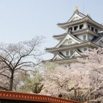 墨俣一夜城　桜まつり　3月　4月　岐阜県大垣市の観光・撮影スポットの画像と写真