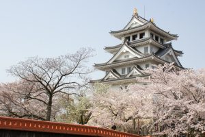 墨俣一夜城　桜まつり　3月　4月　岐阜県大垣市の観光・撮影スポットの画像と写真
