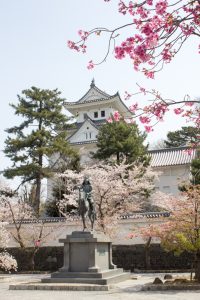 大垣城　戸田氏鉄の銅像　大垣公園　桜　春の花　3月　岐阜県大垣市の観光・撮影スポットの画像と写真