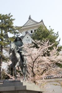 大垣城　戸田氏鉄の銅像　大垣公園　桜　春の花　3月　岐阜県大垣市の観光・撮影スポットの画像と写真