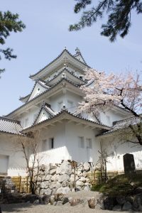 大垣城　大垣公園　桜　春の花　3月　岐阜県大垣市の観光・撮影スポットの画像と写真