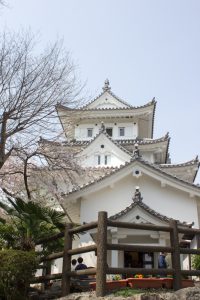 大垣城　大垣公園　桜　春の花　3月　岐阜県大垣市の観光・撮影スポットの画像と写真