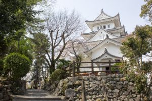 大垣城　大垣公園　桜　春の花　3月　岐阜県大垣市の観光・撮影スポットの画像と写真