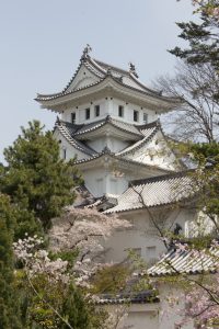 大垣城　大垣公園　桜　春の花　3月　岐阜県大垣市の観光・撮影スポットの画像と写真大垣城　大垣公園　桜　春の花　3月　岐阜県大垣市の観光・撮影スポットの画像と写真