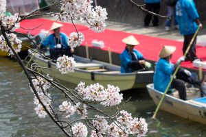 大垣城　　舟下り・たらい舟　大垣公園　桜　春の花　3月　岐阜県大垣市の観光・撮影スポットの画像と写真