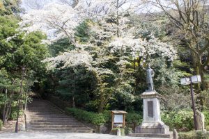 岐阜公園　板垣退助像　桜まつり　3月　4月　岐阜県岐阜市の観光・撮影スポットの画像と写真