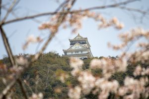 岐阜公園　岐阜城　桜まつり　3月　4月　岐阜県岐阜市の観光・撮影スポットの画像と写真