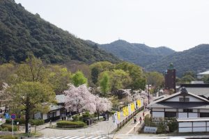 岐阜公園、桜まつり、4月春の花、岐阜県岐阜市の観光・撮影スポットの画像と写真