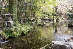 岐阜公園　信長の庭　桜まつり　3月　4月　岐阜県岐阜市の観光・撮影スポットの画像と写真