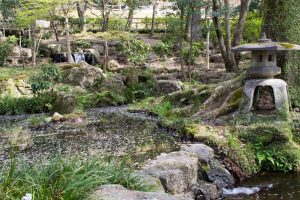 岐阜公園　信長の庭　桜まつり　3月　4月　岐阜県岐阜市の観光・撮影スポットの画像と写真