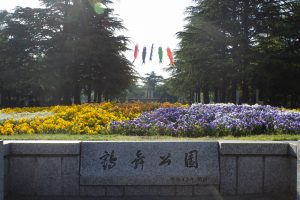 鶴舞公園　バラ園　バラ祭り　4月　春の花　名古屋市昭和区の観光・撮影スポットの画像と写真