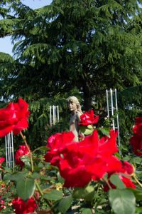 鶴舞公園　バラ園　バラ祭り　4月　春の花　名古屋市昭和区の観光・撮影スポットの画像と写真鶴舞公園　バラ園　バラ祭り　4月　春の花　名古屋市昭和区の観光・撮影スポットの画像と写真