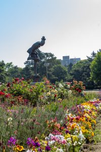 鶴舞公園　バラ園　バラ祭り　4月　春の花　名古屋市昭和区の観光・撮影スポットの画像と写真鶴舞公園　バラ園　バラ祭り　4月　春の花　名古屋市昭和区の観光・撮影スポットの画像と写真