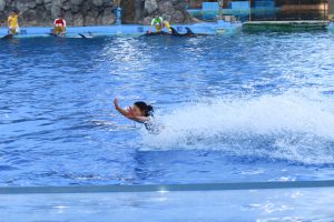 名古屋港水族館　イルカに乗るパフォーマンスショー　名古屋市港区の観光・撮影スポットの画像と写真