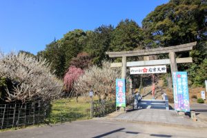 岩津天満宮　神橋梅苑　梅まつり　3月　愛知県岡崎市の観光・撮影スポットの画像と写真