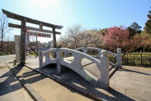 岩津天満宮　神橋梅苑　梅まつり　3月　愛知県岡崎市の観光・撮影スポットの画像と写真