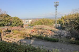 平芝公園平芝公園　梅まつり　3月　愛知県豊田市の観光・撮影スポットの画像と写真