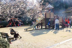 平芝公園　梅まつり　3月　愛知県豊田市の観光・撮影スポットの画像と写真