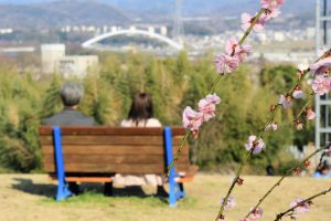 平芝公園　梅まつり　3月　愛知県豊田市の観光・撮影スポットの画像と写真平芝公園　梅まつり　3月　愛知県豊田市の観光・撮影スポットの画像と写真