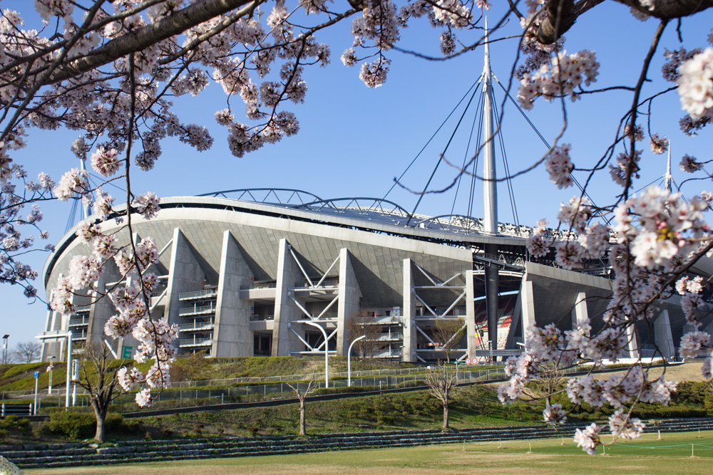 豊田スタジアム　桜　3月　春の花　豊田市の観光・撮影スポットの画像と写真