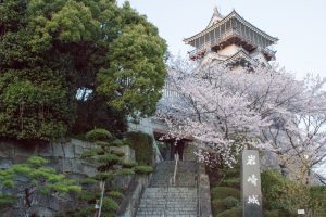 岩崎城　桜　桜祭り　3月　4月　愛知県日進市の観光・撮影スポットの画像と写真