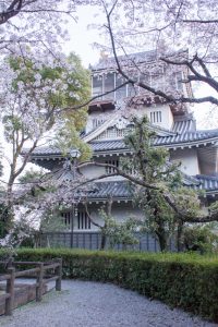 岩崎城　桜　桜祭り　3月　4月　愛知県日進市の観光・撮影スポットの画像と写真