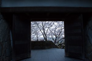 岩崎城　桜　桜祭り　3月　4月　愛知県日進市の観光・撮影スポットの画像と写真