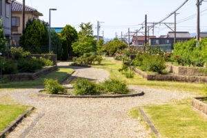 ごうど・ローズパーク、バラ、5月の夏の花、岐阜県安八郡の観光・撮影スポットの名所
