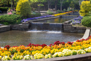 春日井都市緑化植物園、5月の夏の花、愛知県春日井市の観光・撮影スポットの名所