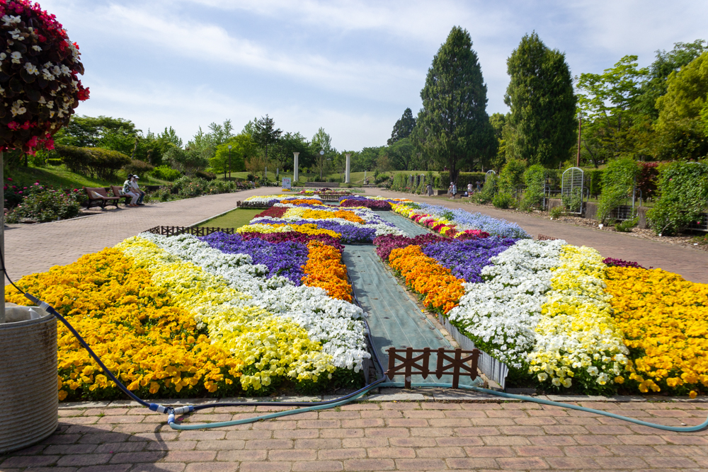 春日井都市緑化植物園、5月の夏の花、愛知県春日井市の観光・撮影スポットの名所