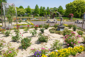 元浜公園、バラ、5月の夏の花、愛知県東海市の観光・撮影スポットの画像と写真