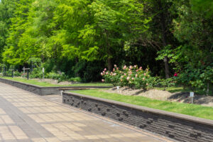 元浜公園、バラ、5月の夏の花、愛知県東海市の観光・撮影スポットの画像と写真
