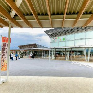 大野町バラ公園、5月夏の花、岐阜県揖斐郡大野町の観光・撮影スポットの画像と写真