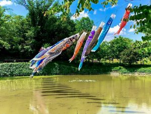 小牧四季の森公園、鯉のぼり、5月夏の花、愛知県小牧市の観光・撮影スポットの画像と写真
