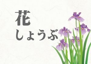 花しょうぶ