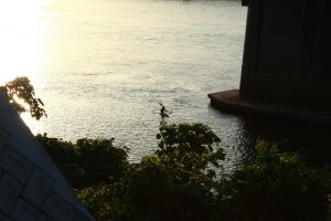 太田橋　木曽川　カヤック　夕日　夕焼け　マジックアワー　岐阜県美濃加茂市の観光・撮影スポットの画像や写真