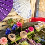 別小江神社　手水舎　あじさい　6月　名古屋市北区の観光・撮影スポットの画像と写真