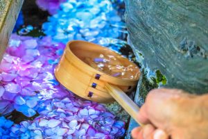 御裳神社(みもじんじゃ)　あじさい　手水舎　6月　夏の花　愛知県一宮市の観光・撮影スポットの画像と写真