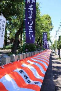 御裳神社(みもじんじゃ)　あじさい　手水舎　6月　夏の花　愛知県一宮市の観光・撮影スポットの画像と写真