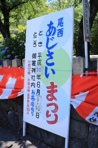 御裳神社(みもじんじゃ)　あじさい　手水舎　6月　夏の花　愛知県一宮市の観光・撮影スポットの画像と写真