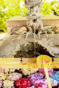 御裳神社(みもじんじゃ)　あじさい　手水舎　6月　夏の花　愛知県一宮市の観光・撮影スポットの画像と写真