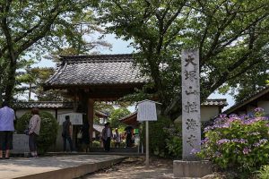 大塚性海寺歴史公園、あじさいまつり、6月夏の花　観光・撮影スポットの画像と写真