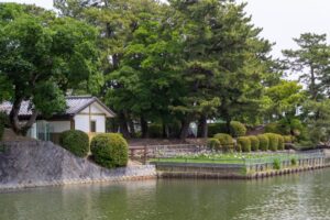 九華公園、花しょうぶ、6月夏の花、三重県桑名市の観光・撮影スポットの名所