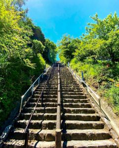 月見の森、あじさい、岐阜県海津市の観光・撮影スポットの画像と写真