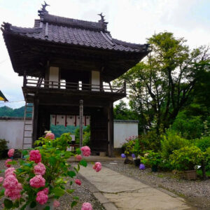 三光寺、あじさい、6月夏の花、岐阜県山県市の観光・撮影スポットの名所