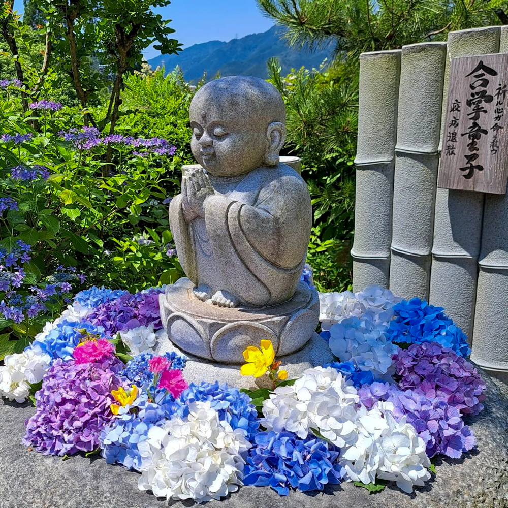 桂昌寺、花手水舎、あじさい、6月夏の花、岐阜県郡上市の観光・撮影スポットの名所