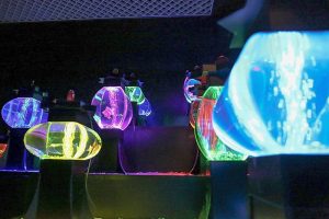 アートアクアリウム　名古屋市中区の観光・撮影スポットの画像と写真