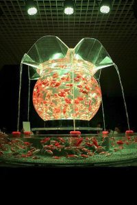 アートアクアリウム　名古屋市中区の観光・撮影スポットの画像と写真