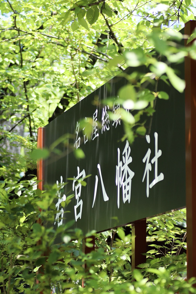 若宮八幡社　風鈴まつり　7月　夏の風物詩　名古屋市中区の観光・撮影スポットの画像と写真