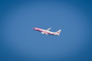 中部国際空港セントレア　飛行機　愛知県常滑市の観光・撮影スポットの画像と写真